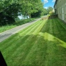 Matt's Gardening Maintenance - Lawn mowed