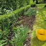 Matt's Gardening Maintenance - Border weeding