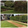 PGS - Property Garden Services Ltd - Garden clearance & revamp